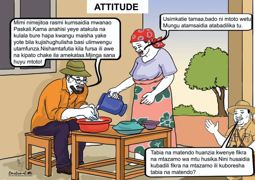 Attitude